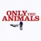 Only the Animals fragman izle